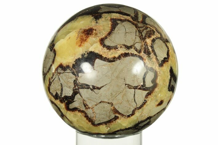 Polished Septarian Sphere - Madagascar #227467